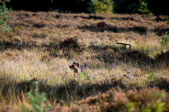 DSC_9643