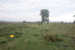 IMGL0174