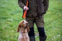 20260228HondenwedstrijdOrweja-7773