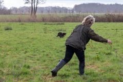 20260228HondenwedstrijdOrweja-7858