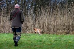 20260228HondenwedstrijdOrweja-7977