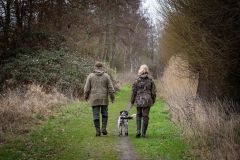 20260228HondenwedstrijdOrweja-8149