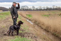 20260228HondenwedstrijdOrweja-8236