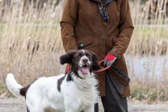 20260228HondenwedstrijdOrweja-8243