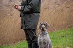 20260228HondenwedstrijdOrweja-8286