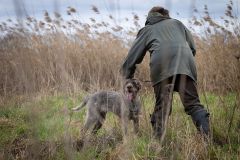 20260228HondenwedstrijdOrweja-8443