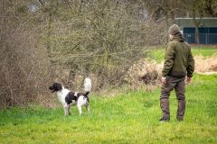 20260228HondenwedstrijdOrweja-8560