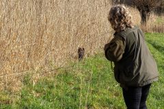 20260228HondenwedstrijdOrweja-8608