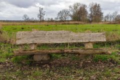 20260228HondenwedstrijdOrweja-8666