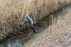 20260228HondenwedstrijdOrweja-8776