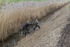 20260228HondenwedstrijdOrweja-8789