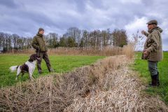 20260228HondenwedstrijdOrweja-8949