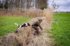 20260228HondenwedstrijdOrweja-8967