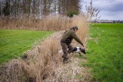 20260228HondenwedstrijdOrweja-8978