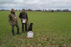 IMG_20260228_151438475-scaled