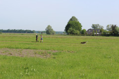 IMG_7494