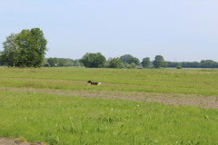 IMG_7496