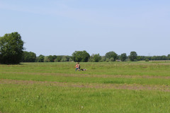 IMG_7655