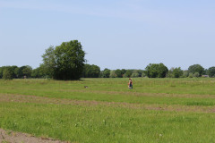 IMG_7657