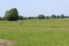 IMG_7658