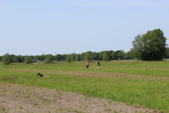 IMG_7660