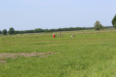 IMG_7706