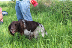 IMG_7751