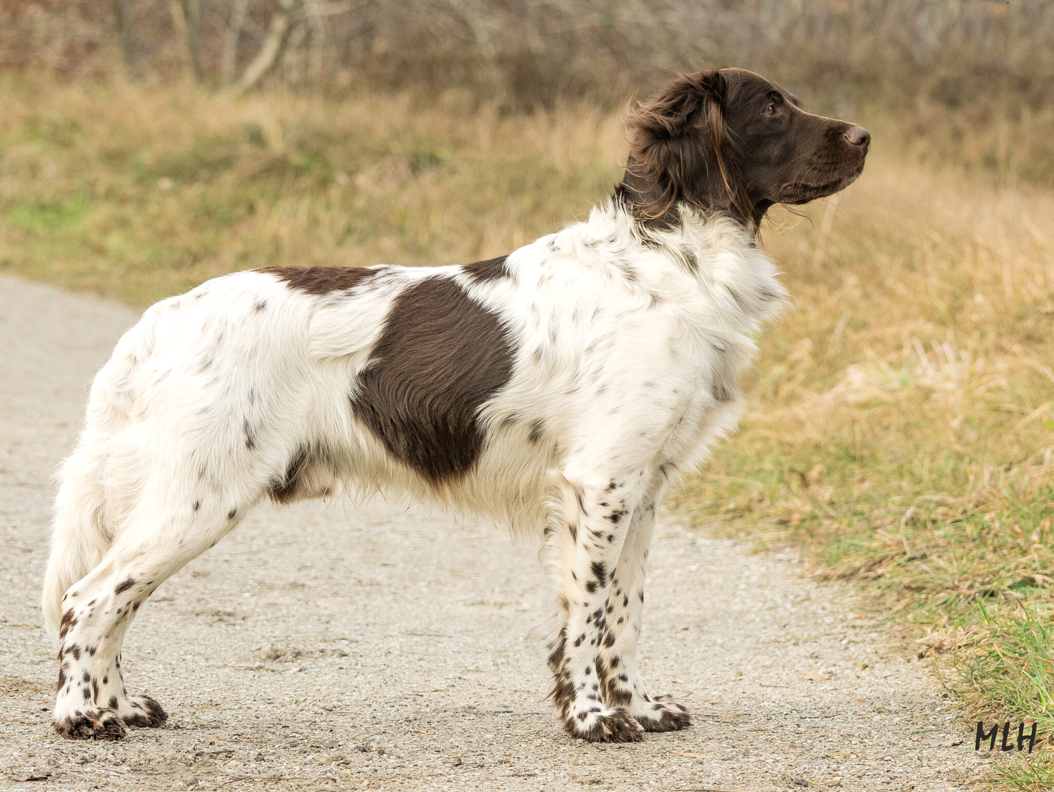 2026-01-21 Dux vereniging 2